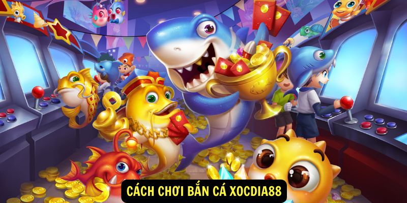 Trang chủ 18 Bắn cá cực kỳ hấp dẫn tại địa chỉ Xocdia88