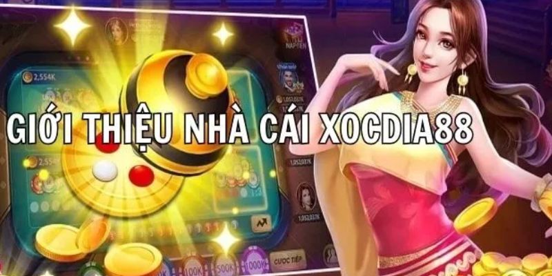 Trang chủ 15 Khái quát về nền tảng Xocdia88 trực tuyến