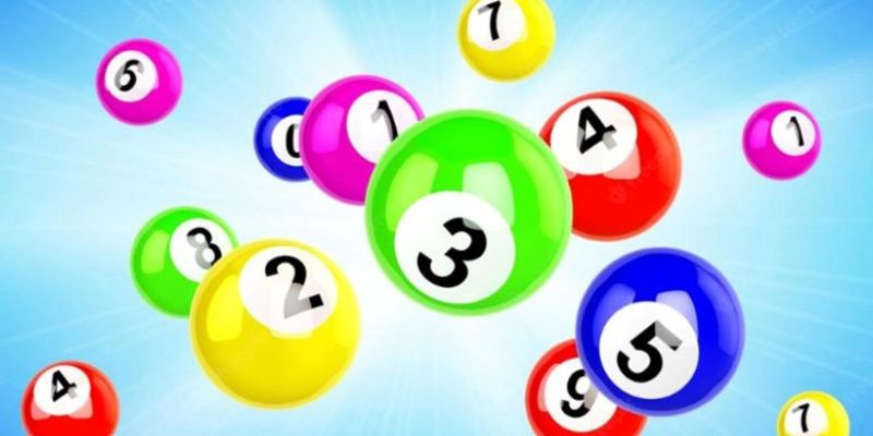 Cách nuôi lô khung tại Xocdia88 cực kỳ đơn giản, dễ hiểu 1 Lợi ích khi nuôi lô khung nhà cái