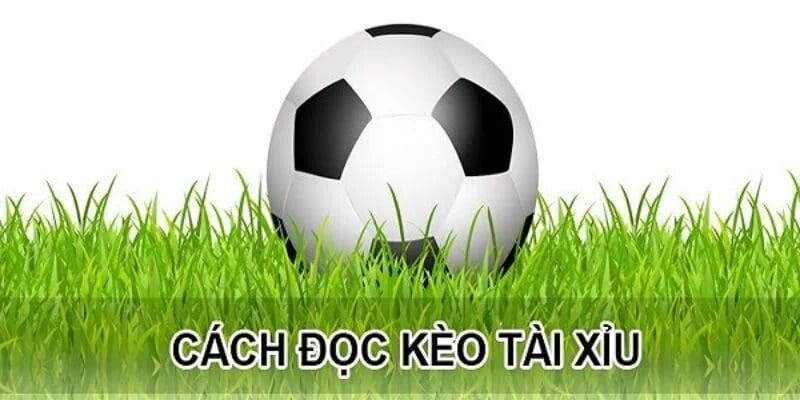Kèo tài xỉu nhà cái Xocdia88 – Lựa chọn cược thông minh 4 Cách chơi kèo tài xỉu đơn giản và dễ dàng thắng