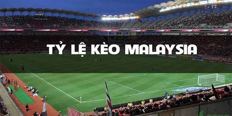 Tỷ lệ kèo malaysia chuẩn dành cho người mới tại Xocdia88 3 Hướng dẫn mới nhất giúp bạn xem tỷ lệ kèo Malaysia chuẩn